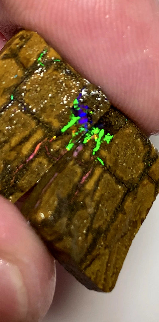 Queensland Boulder opal rough pair 37cts Winton Bright Vibrant Multifires showing 18x15x14mm & 18x14x5mm BFC65