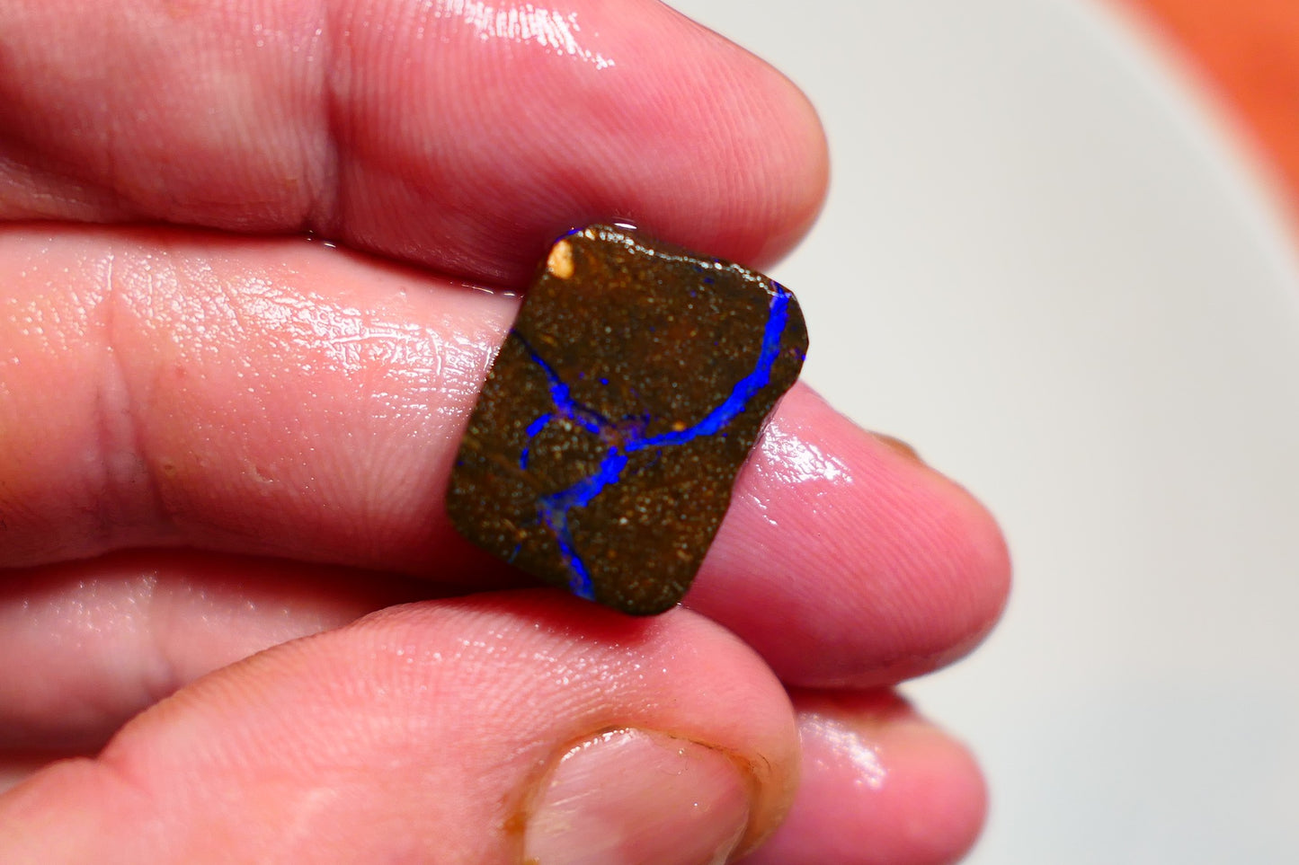 Queensland Boulder Matrix opal 16cts rub / rough / preform Koroit Blue veins of fires 16x12x5mm BR#11