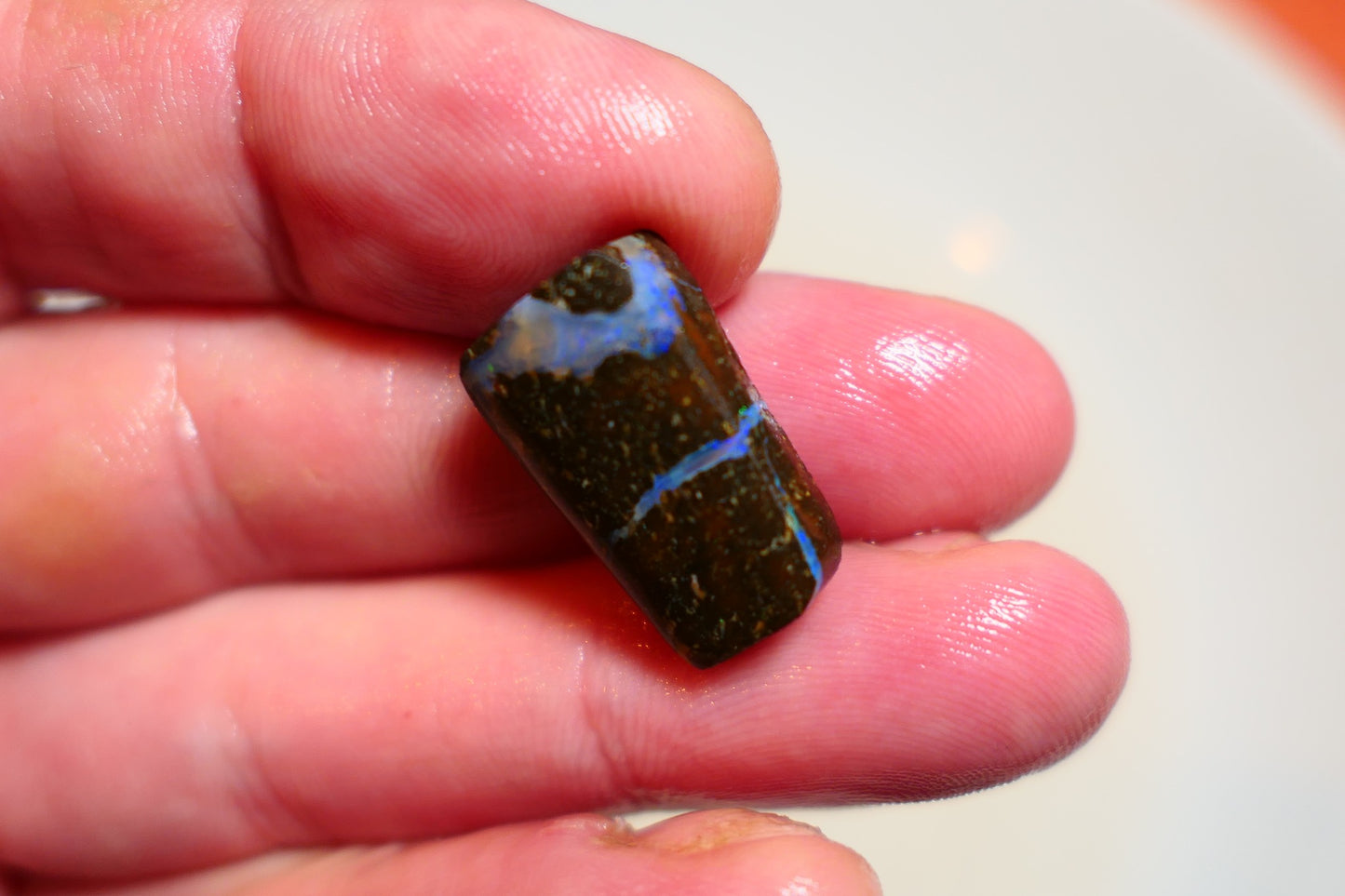 Queensland Boulder Matrix opal 16cts rub / rough / preform Koroit Blue veins of fires 20x10x4mm BR#04