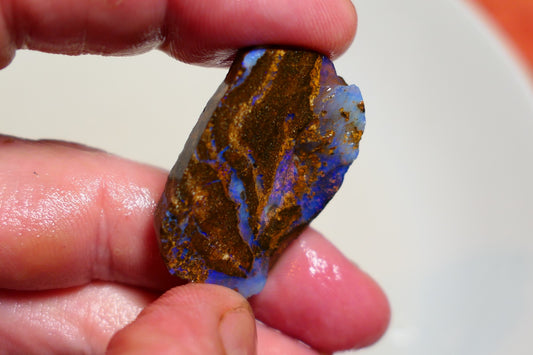 Queensland Boulder Matrix opal 40cts rough / slice Koroit Nice fires 30x15x5mm BD#12