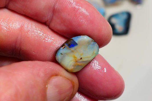 Queensland Boulder opal 13cts rub / rough / preform Koroit Blue fires 15x11x5mm BRA04