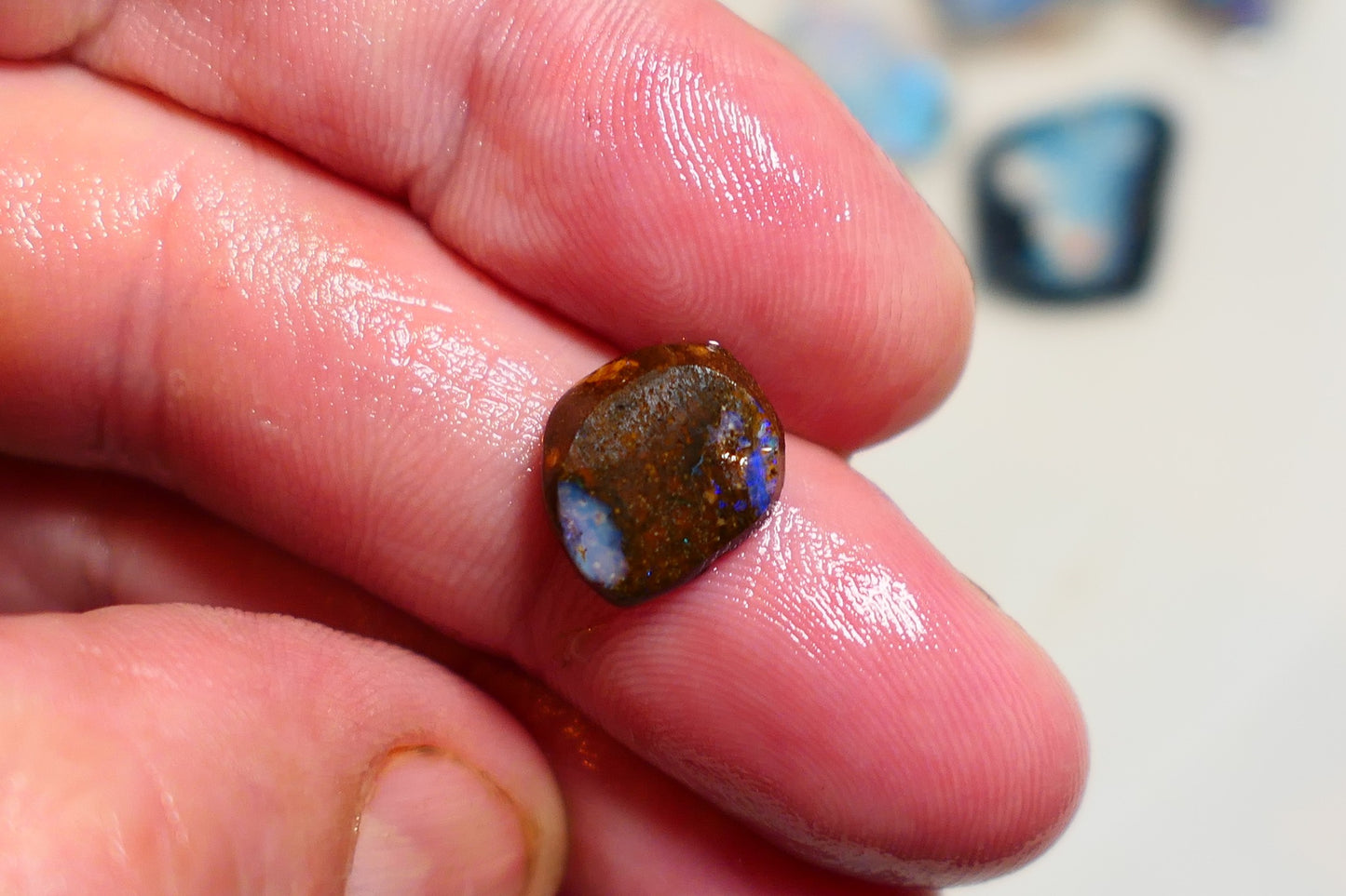 Queensland Boulder opal 4cts rub / rough / preform Koroit Blue fires 11x7x3mm BRA09