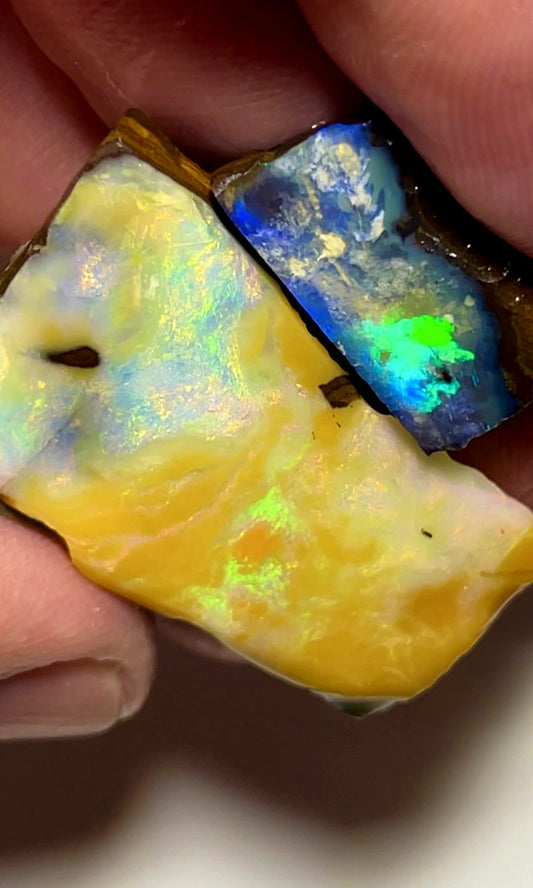 Queensland Boulder opal 80cts Winton rub / rough Stunning Exposed Bright Multifires 35x18x10mm & 18x10x6mm BFC71