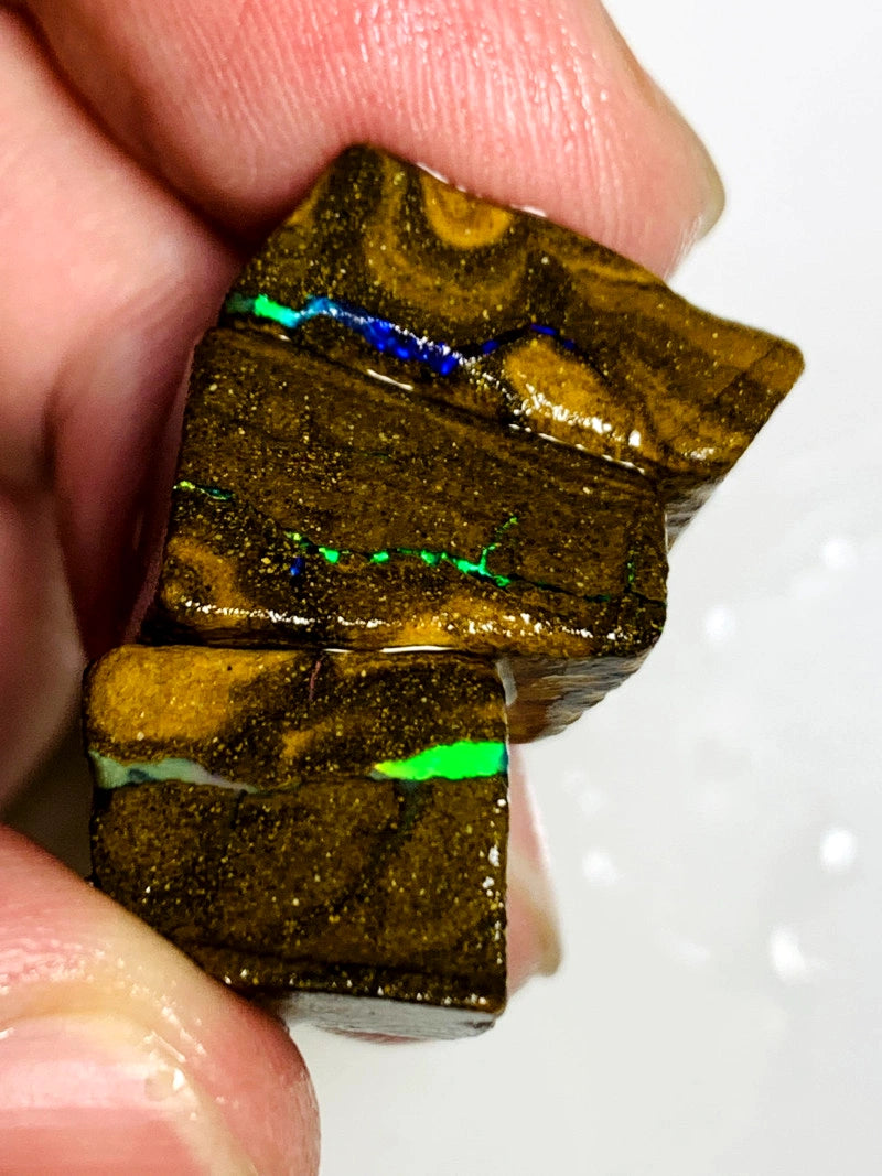 Queensland Boulder opal pair 68cts Winton Bright Vibrant Multifires showing 20x14x8mm to 14x11x8mm BFC62