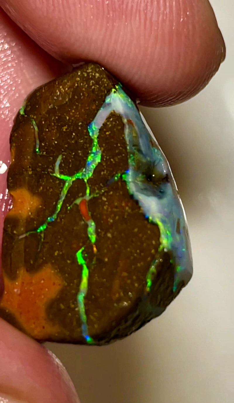 Queensland Boulder opal 33cts Winton rub/rough Very Bright Multifires in Exposed Veins on rubbed face 25x15x8mm BFC74