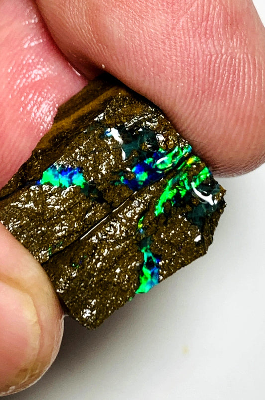 Queensland Boulder opal pair 24cts Winton Bright Vibrant Exotic Multifires showing 19x12x5mm & 18x8x5mm BFC63
