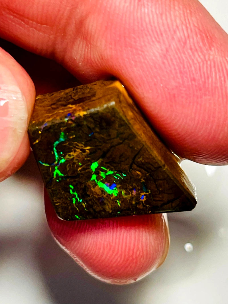 Queensland Boulder opal 30cts Winton rub/rough Vivid Vibrant Multifires on Exposed face 18x15x8mm BFC72
