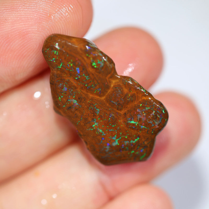 Australian Queensland Boulder Matrix opal single 24cts Tumbled rough Koroit Multifires to veins & Lots potential 30x16x9mm BFA31