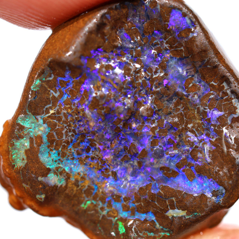 Australian Queensland Boulder Matrix opal single 27cts Tumbled rough Koroit Bright Blue fires & Lots potential 20x19x8mm BFA39