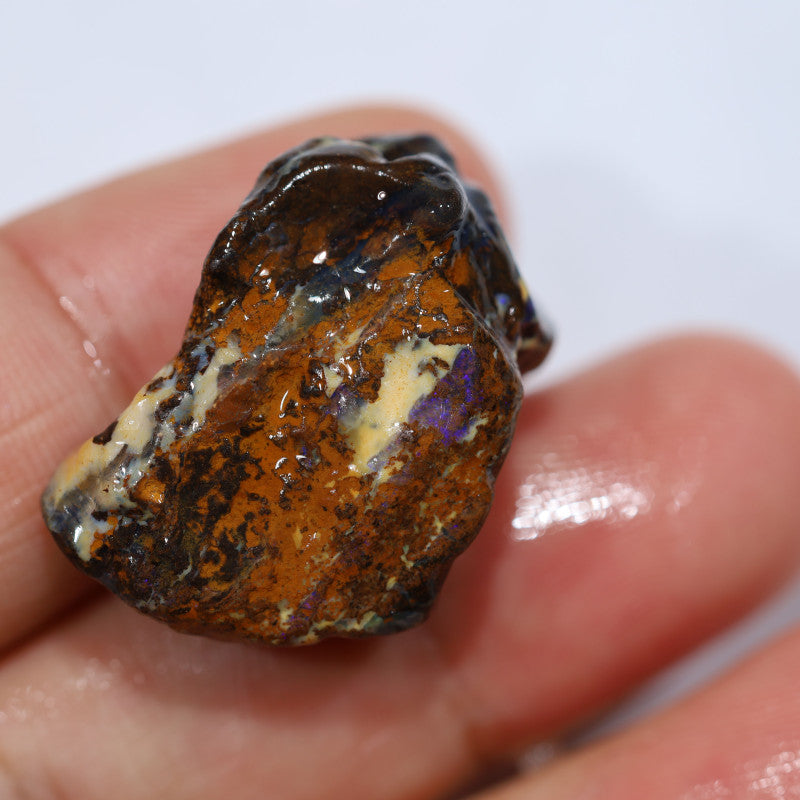 Australian Queensland Boulder Matrix opal single 35cts Tumbled rough Koroit colours & potential 26x18x13mm BFA34