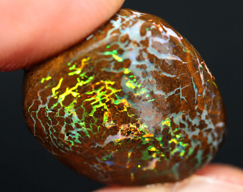 Australian Queensland Boulder Matrix opal 13.50cts Opalton rub/preform Stunning Exposed veins of Bright Vibrant Multifires 17x15x5mm BFA14
